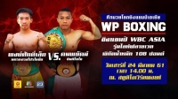 WP Boxing