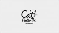  Cat Radio TV
